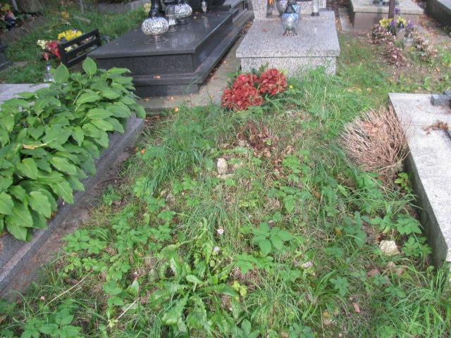 Stanisław Grzyb 1934 Chrzanów św. Mikołaja - Grobonet - Wyszukiwarka osób pochowanych