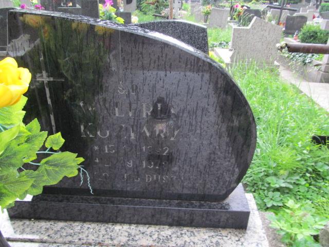 Waleria Koziarz 1892 Chrzanów św. Mikołaja - Grobonet - Wyszukiwarka osób pochowanych