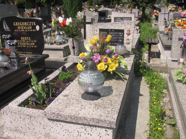 Grób Janina Augustynek
