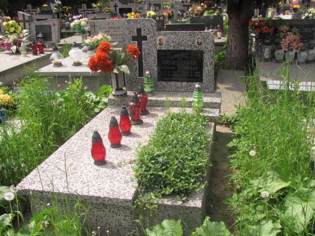 Grób Albina Ogrodnik