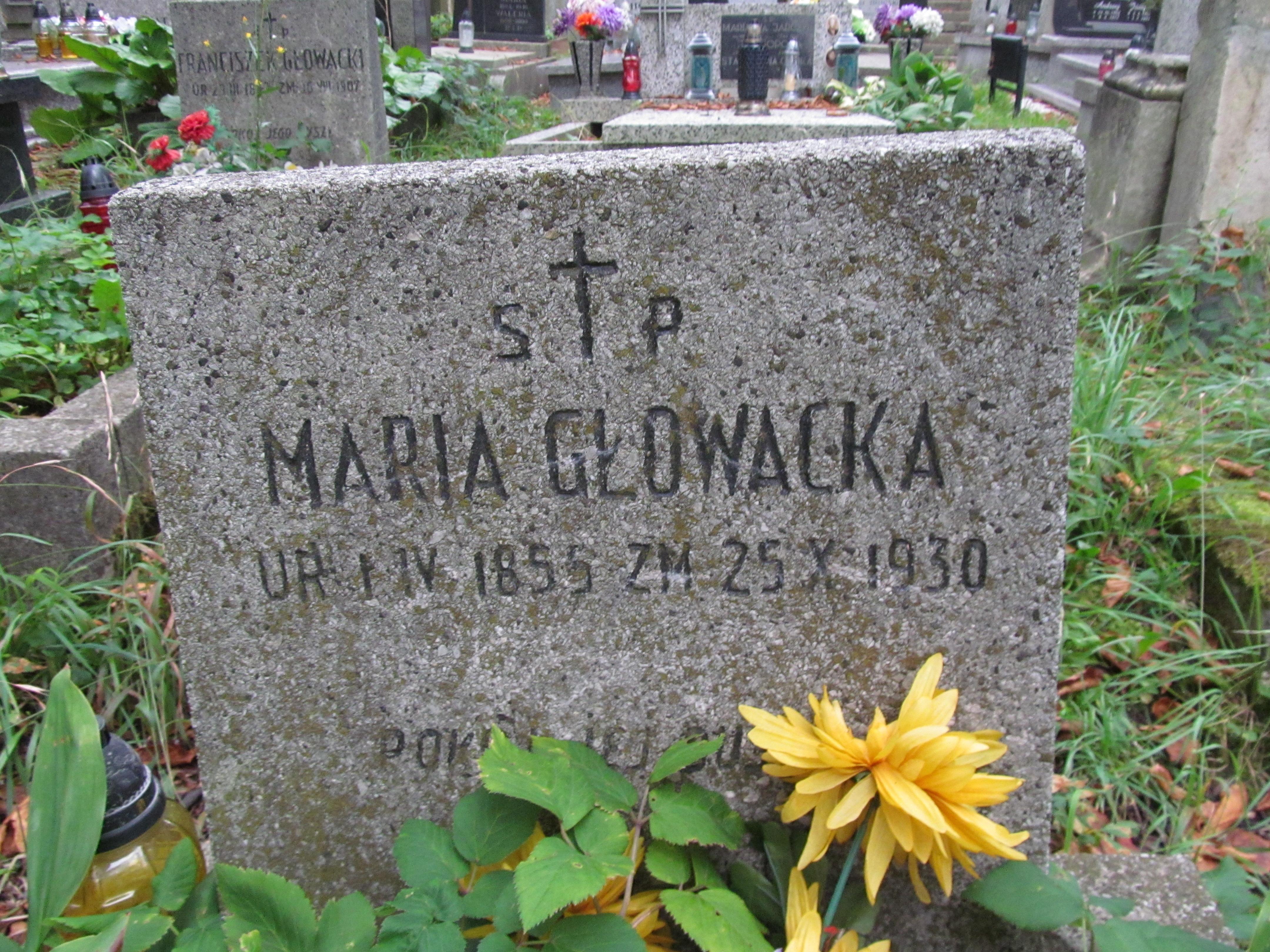 Maria Głowacka 1855 Chrzanów św. Mikołaja - Grobonet - Wyszukiwarka osób pochowanych