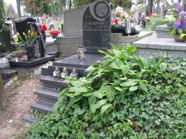 Grób Marian Lewandowski
